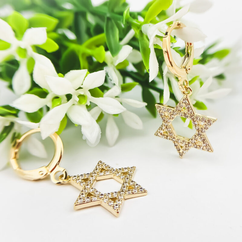 Brinco Argola Pendente Estrela de Davi