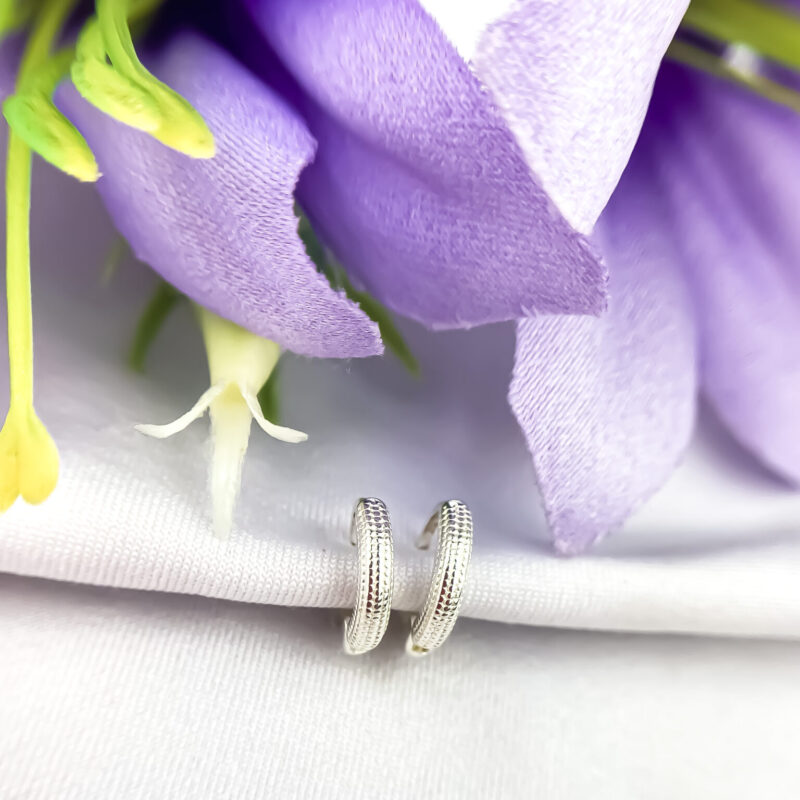 Brinco Argola Minimalista Prata 925 tamanho p