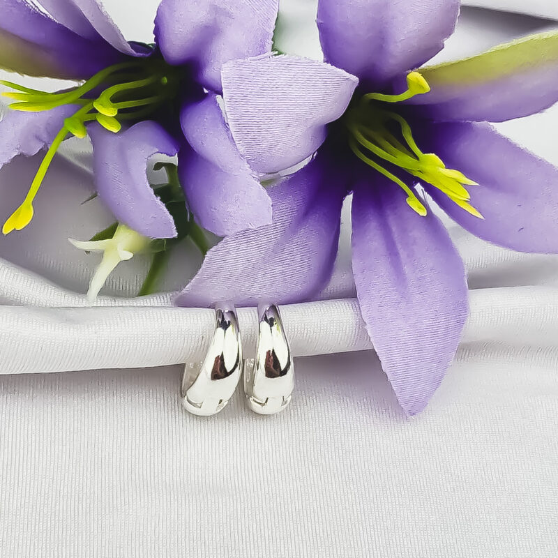 Brinco Argola Clássica Abaulada Prata 925 tamanho M